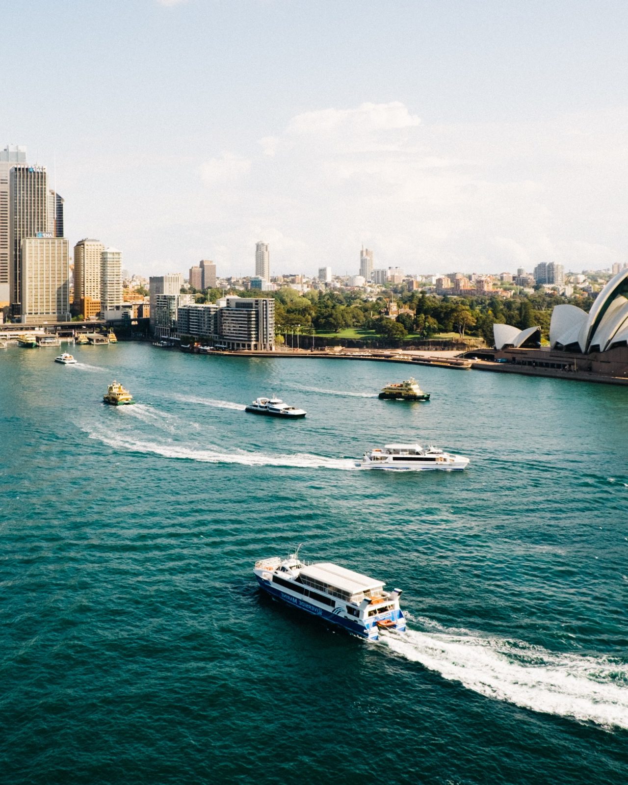 Multiple boats zooming in Sydney Harbour in daylight