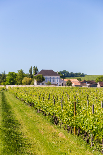 Wall of Sazerac de Forge Barrels