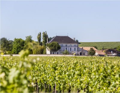 Download Domaine Sazerac de Segonzac landscape