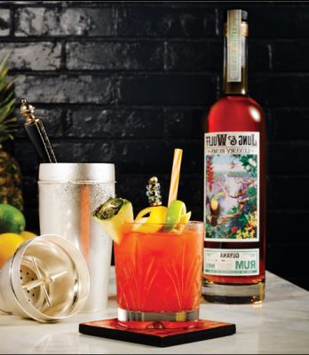 Download Jung & Wulff fruity cocktail and bottle with shaker behind it