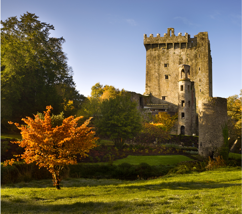Old castle in Cork, Ireland surround by trees and grass
