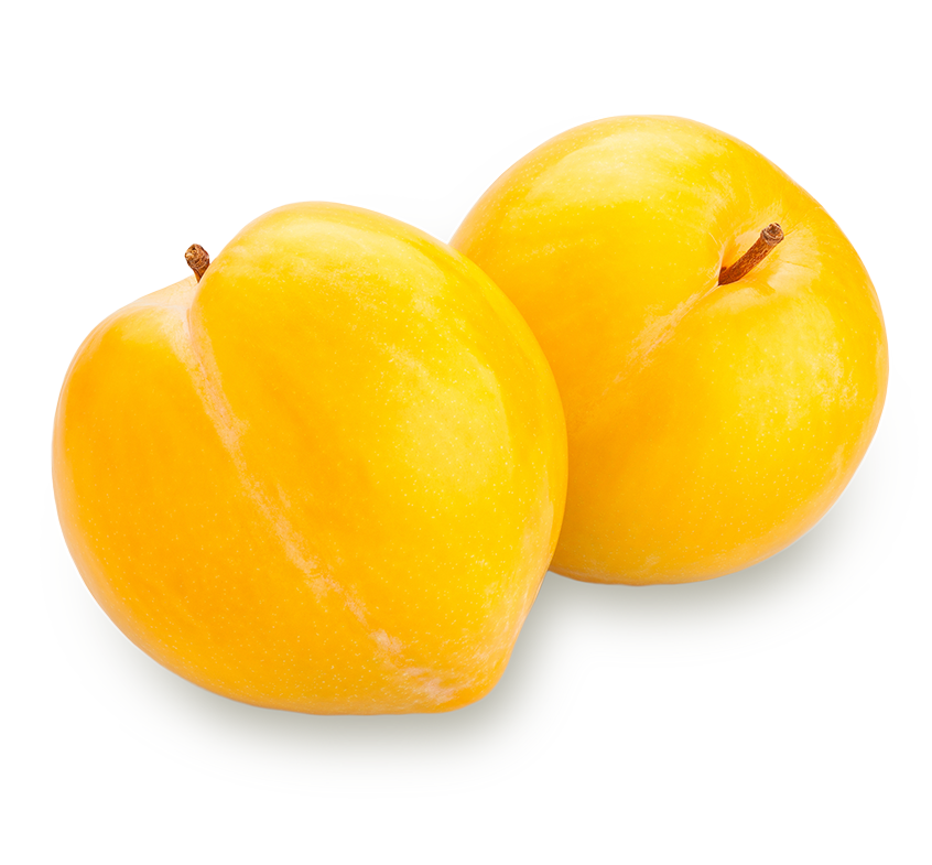 yellow plum isolated with transparent background
