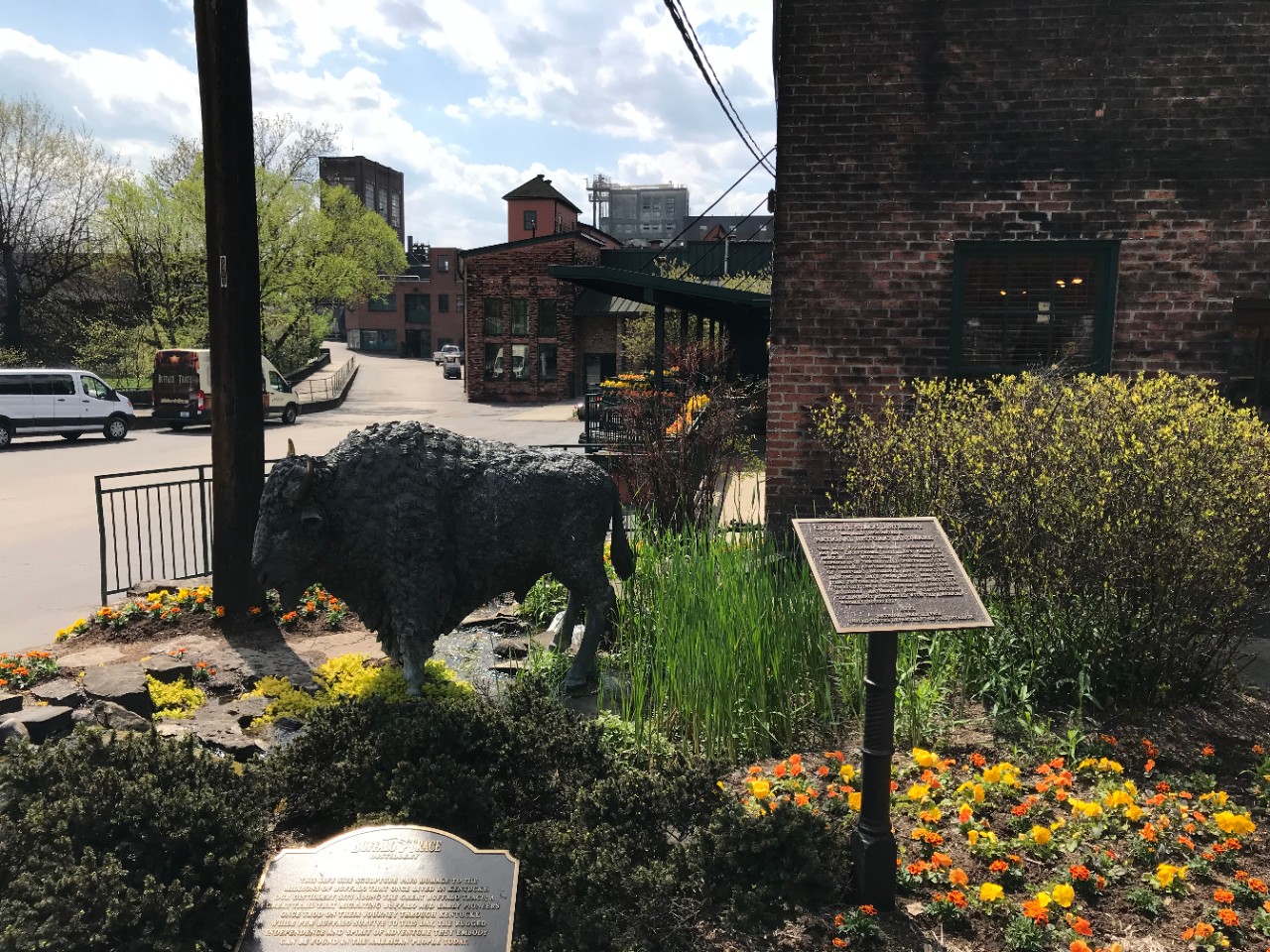 Image outside Buffalo Trace Distillery with buffalo statue in front