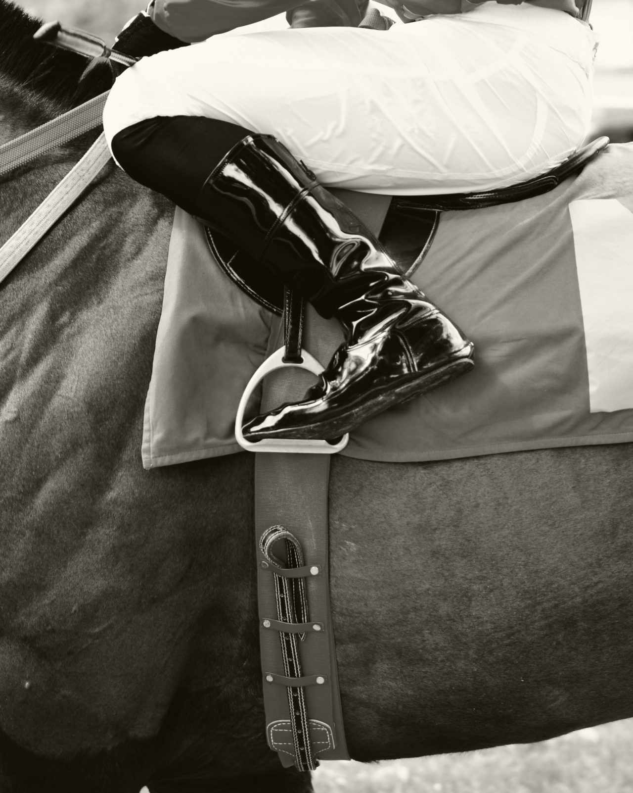 Black and white closeup of jockey on race horse